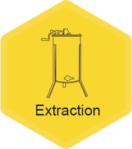 Extraction