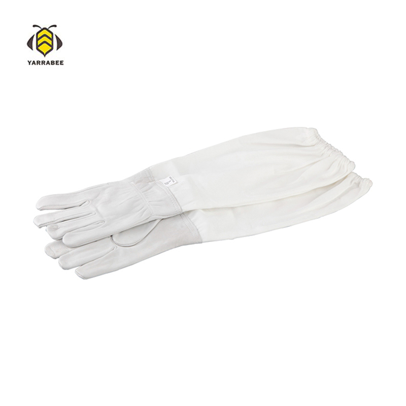 Glove