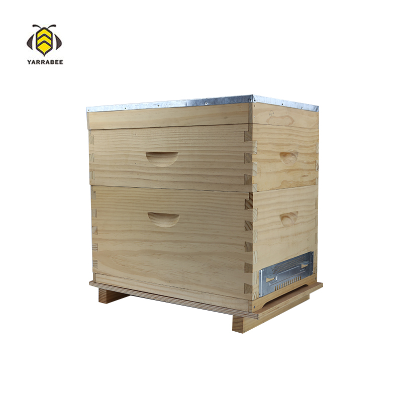 Bee Hive