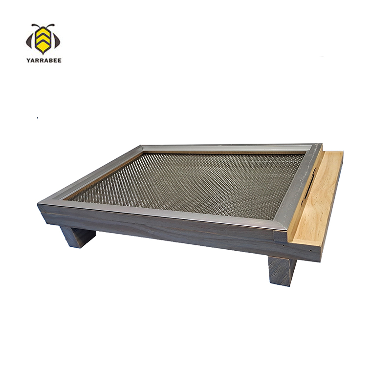 Beetle Catch hive base