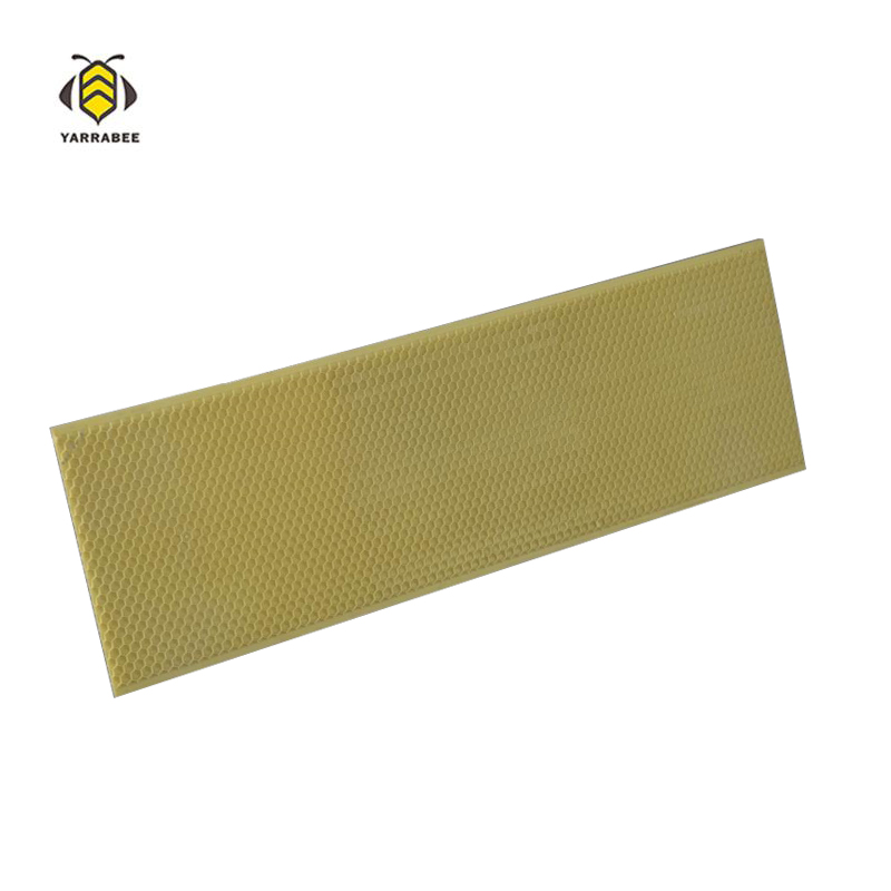 Plastic Foundation Manley