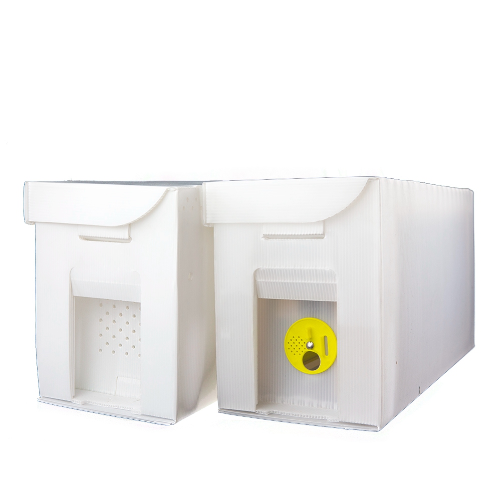 Corflute NUC Box